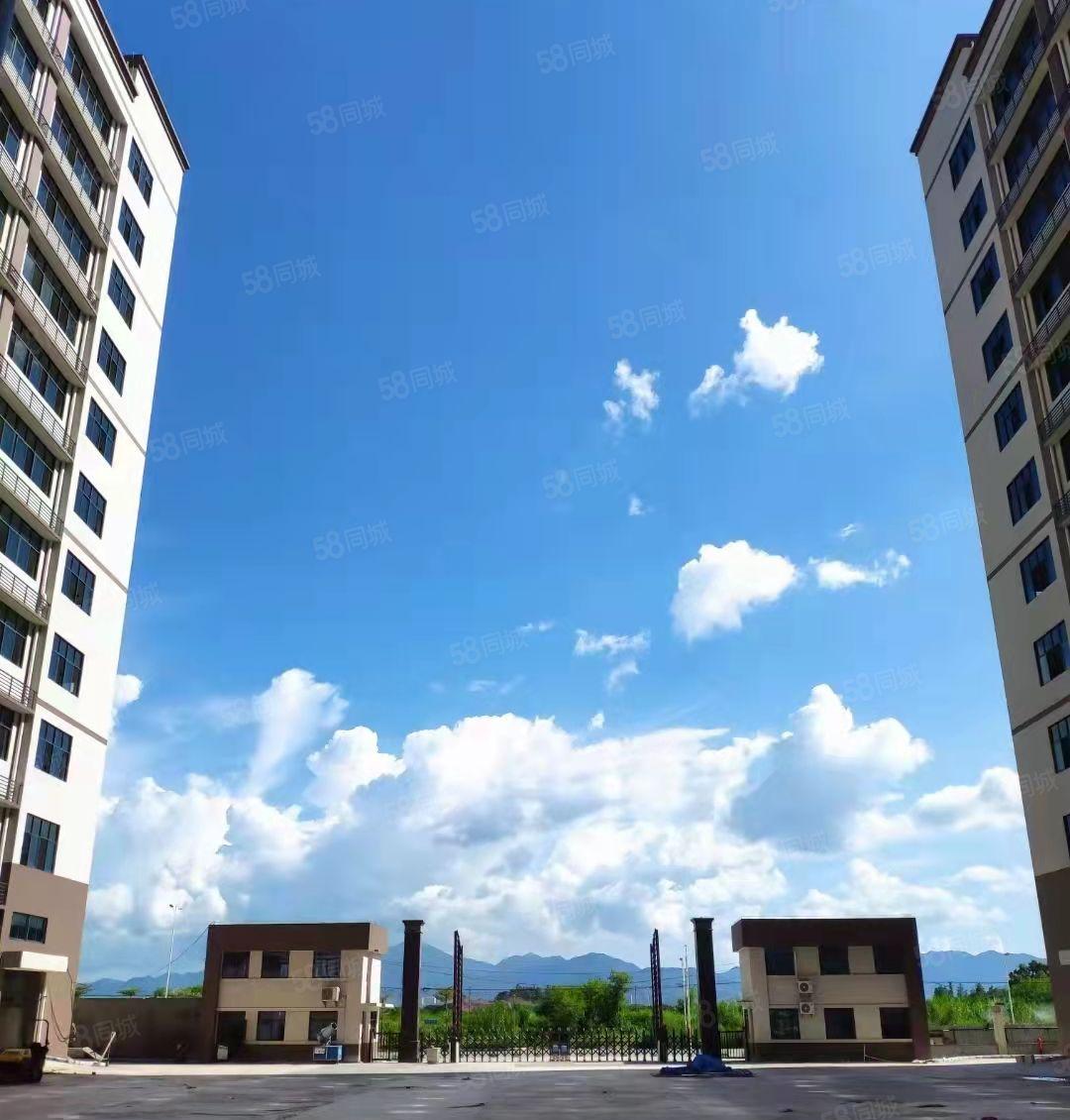 可分租！僮桥新出全新10万平方红本厂房出租！配套齐全，原房东