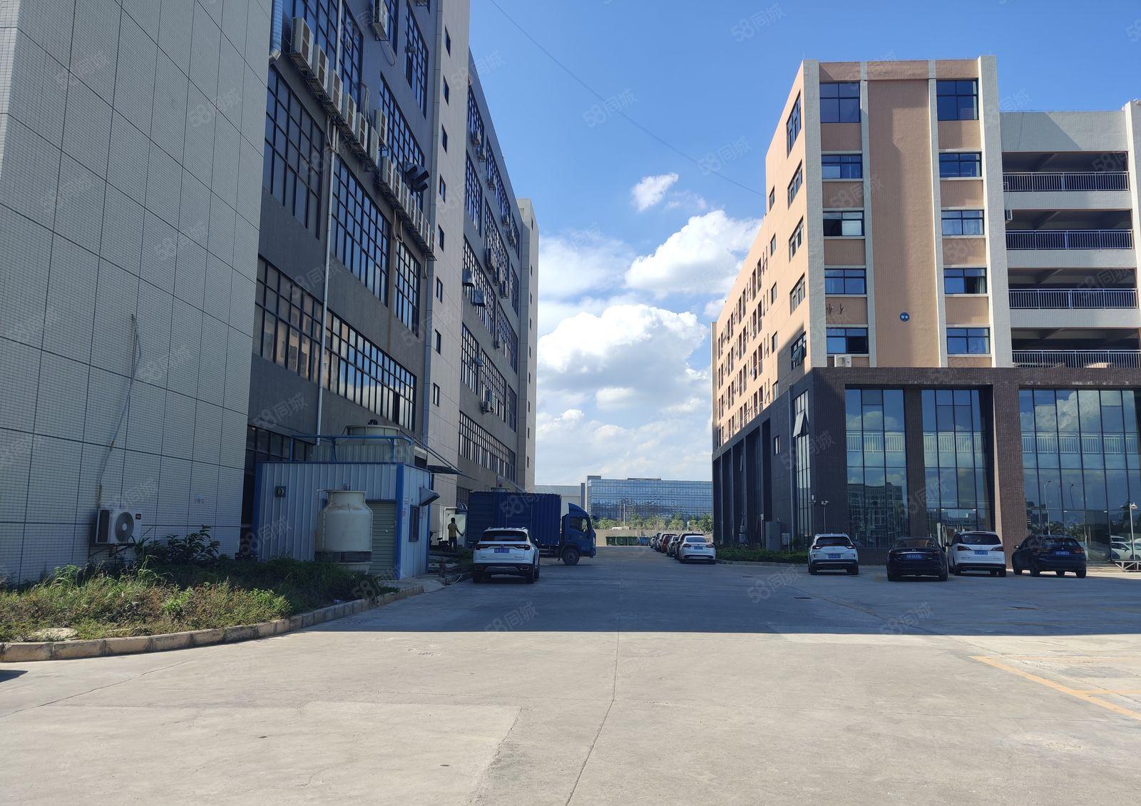 12元起租惠州陈江园区厂房物流仓库一楼10米高带卸货平台