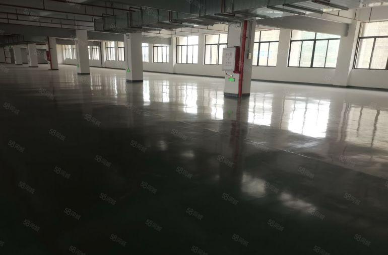 本公司原房东带装修带地坪漆全新厂房出租可分小面积200起出租