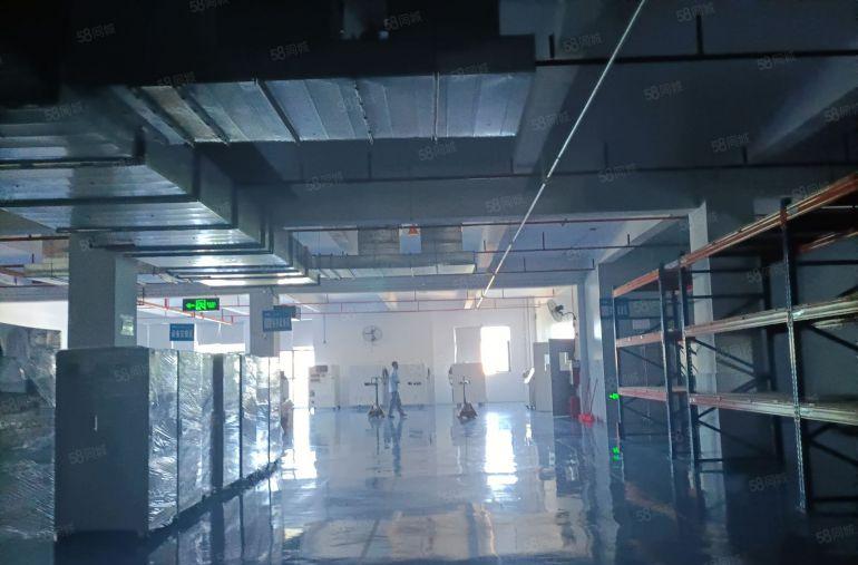 1500平整层带装修厂房上市公司退出的在陈江中心好招工