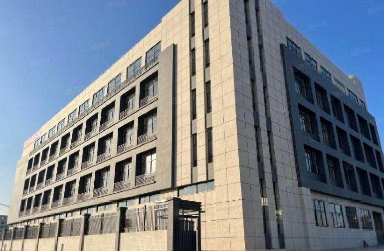 仲恺陈江，特价9.9元，实际面积出租免租期2个月