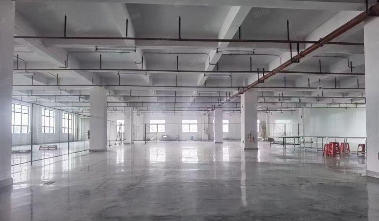 厂房出租全新红本厂房58000平低价招租一楼层高7米带牛角