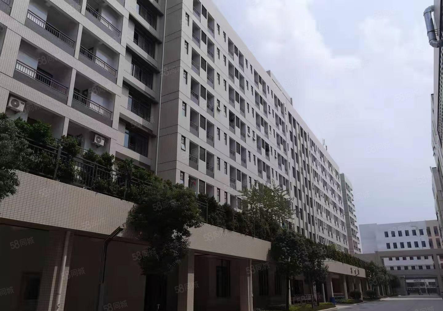 全新独院厂房仓库单栋14800平低价出租，可分租带环评红本