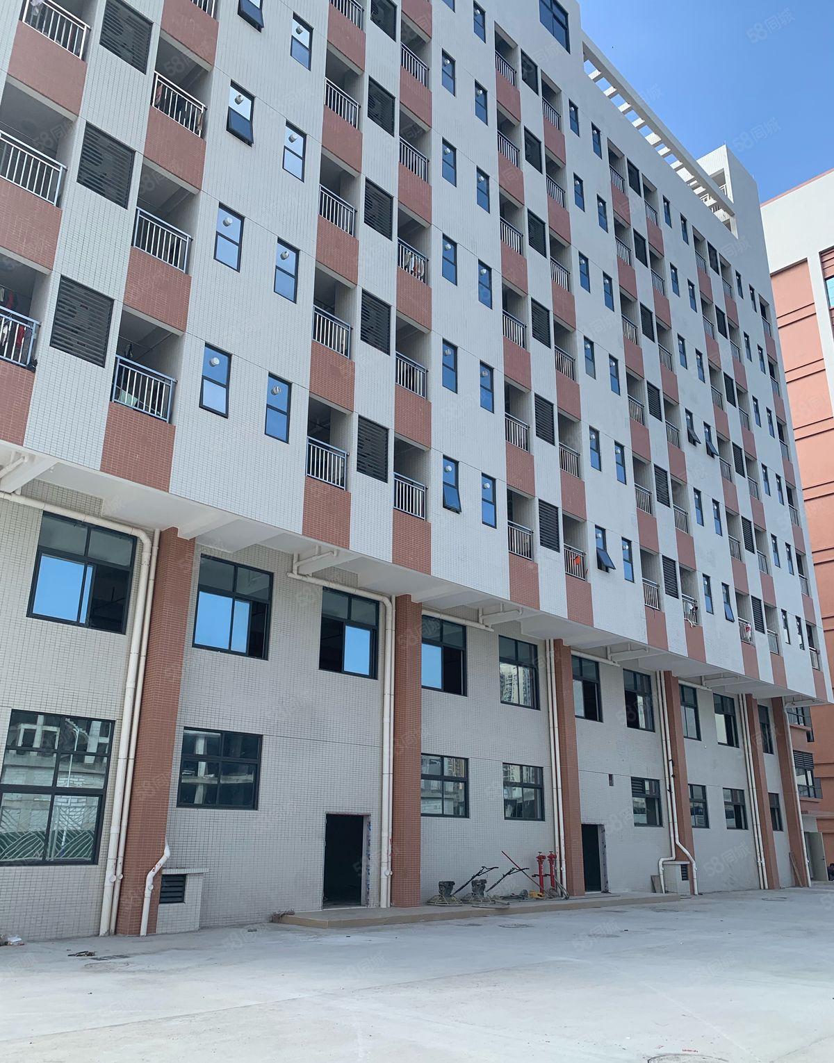 陈江原房东直租20502平工业园全新厂房招租