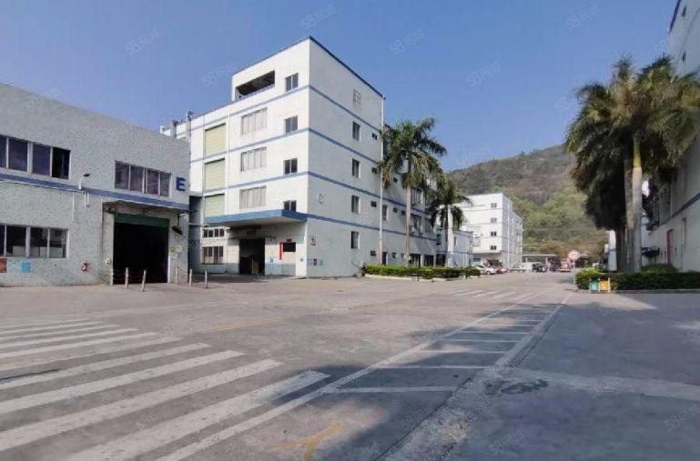 7块！沥林英光新出2000平带地坪带行车厂房仓库出租可分租