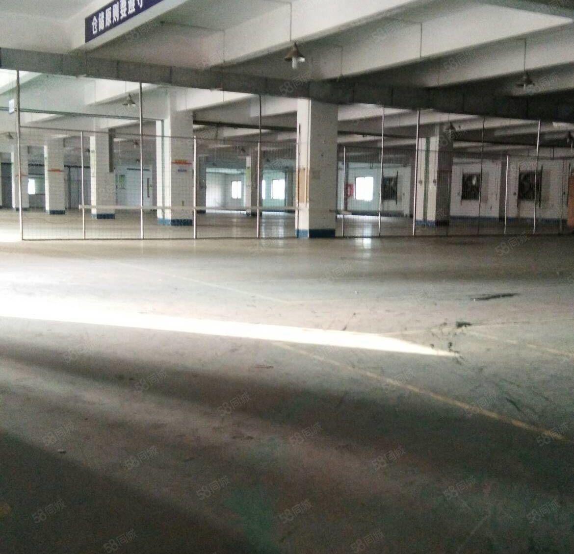 仲恺陈江，新出4500平方带装修办公室的厂房出租