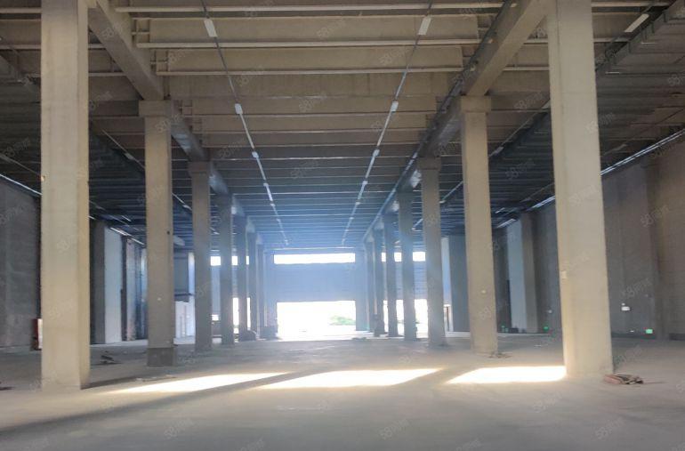 高标物流仓丙二类消防国有证件！一楼高度12米二楼10米共两层