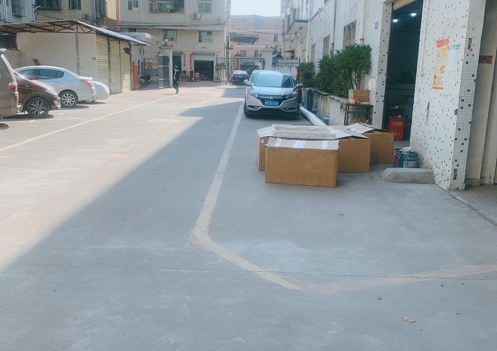 仲恺陈江原房东3000平一楼高6米500.厂房出租200起租