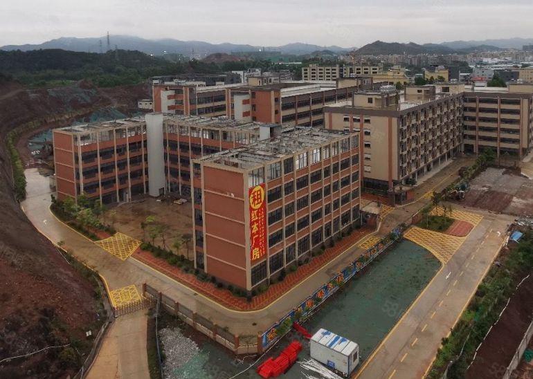 仲恺全新标准厂房出租