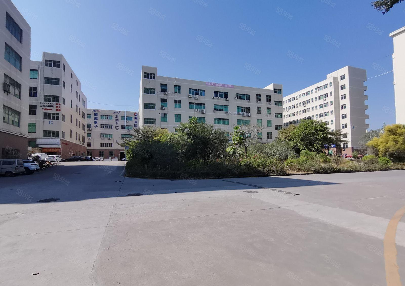 陈江五一工业区1200平到精装修厂房出租低价仓库可分租带环评