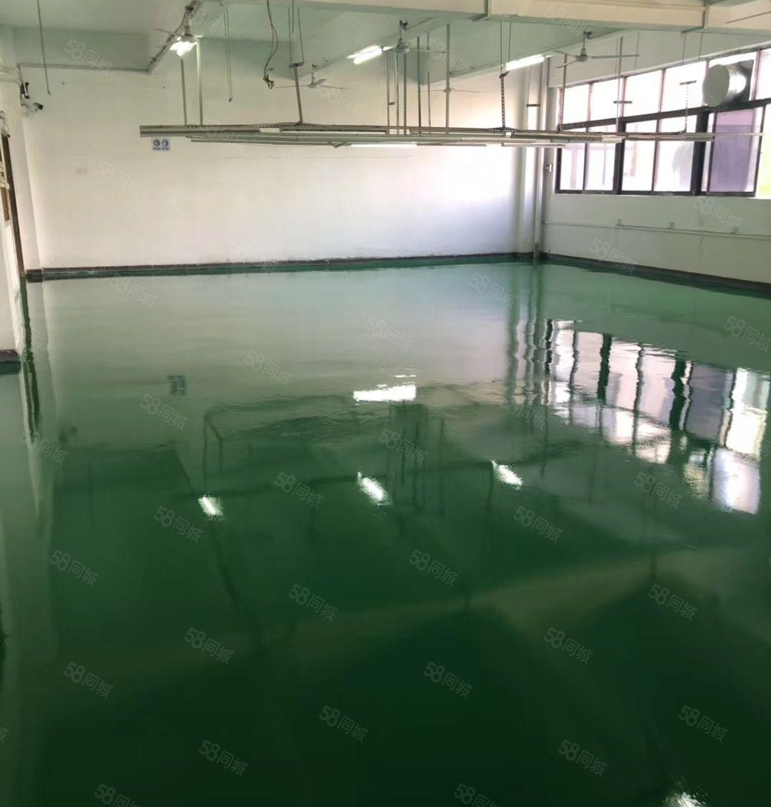 陈江工业园厂房出租小面积200平出租