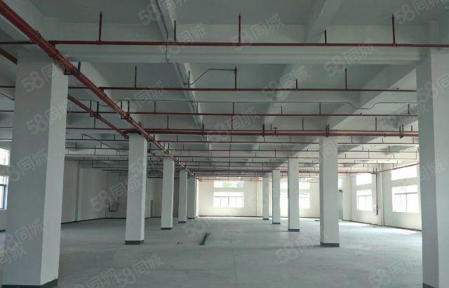 仲恺沥林新出原房东标准厂房出租大小可分