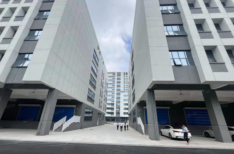 6块惠州仲恺全新红本厂房出租1000平起租可分租仓库带平台