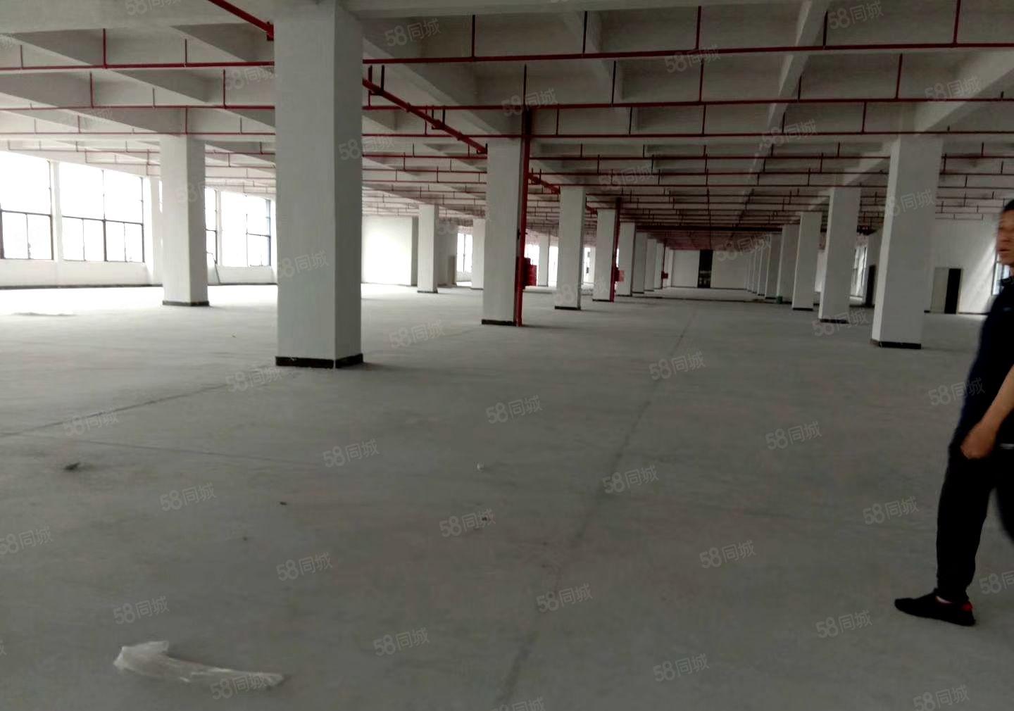 惠州市仲恺高新区TCL全新标准厂房35800平米招租大小可分