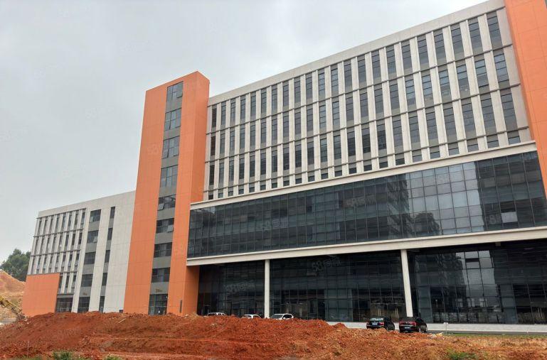 7元！陈江新出单层实际面积二千平厂房原房东低价出租帮刷地坪漆