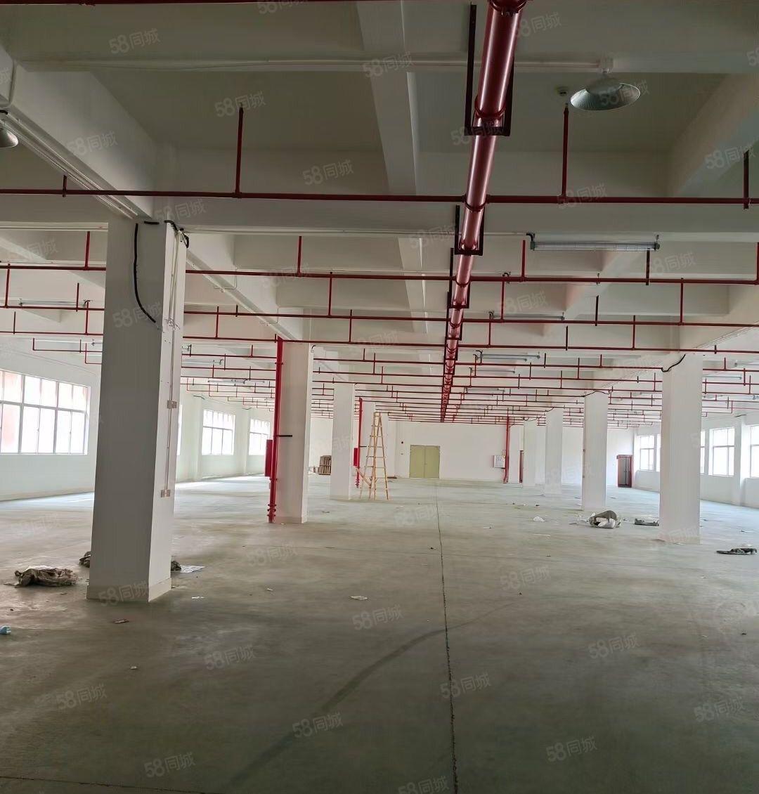 500平起租陈江五一楼上标准厂房1000平1500平出租