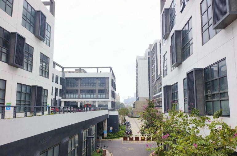 仲恺陈江独门独院园区10万平厂房出租