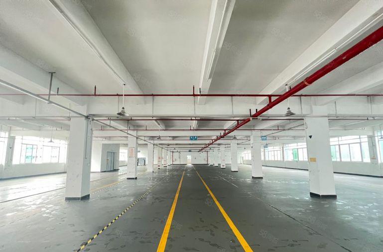 仲恺新出原房东独栋6000平米厂房仓库低价出租带装修可分租