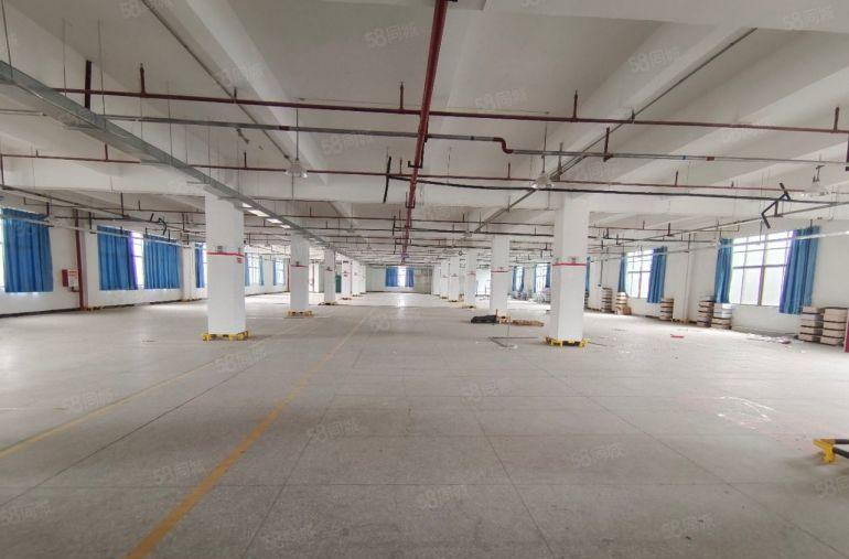 仲陈江原房东独栋厂房出租 带精装修 单层面积1712平