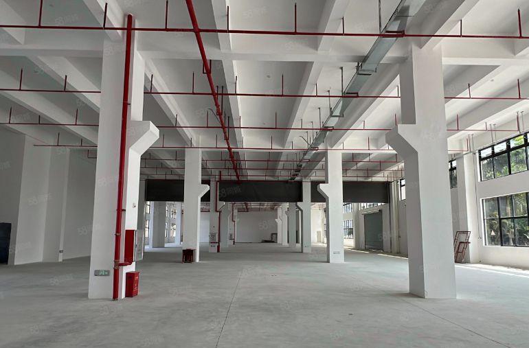 仲恺新出原房东独栋厂房2000平带消防喷淋大小可分租空地大