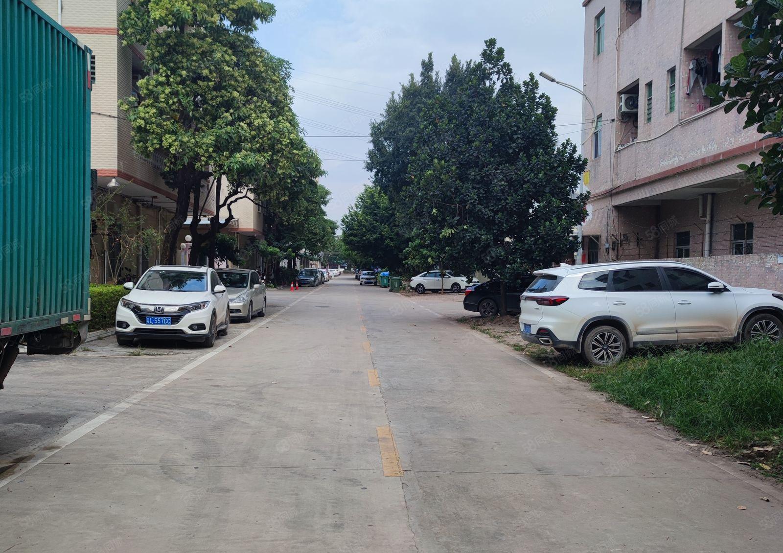 陈江标准厂房出租，成熟工业区！商业区，易招工，配套设施齐全