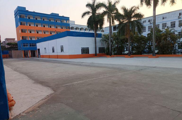 沥林镇独院单一层钢构厂房出租，滴水12米，格局方正，空地超大