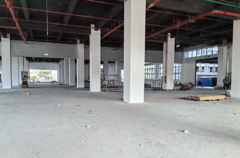 陈江五一工业区原房东一楼标准厂房2000平低价出租