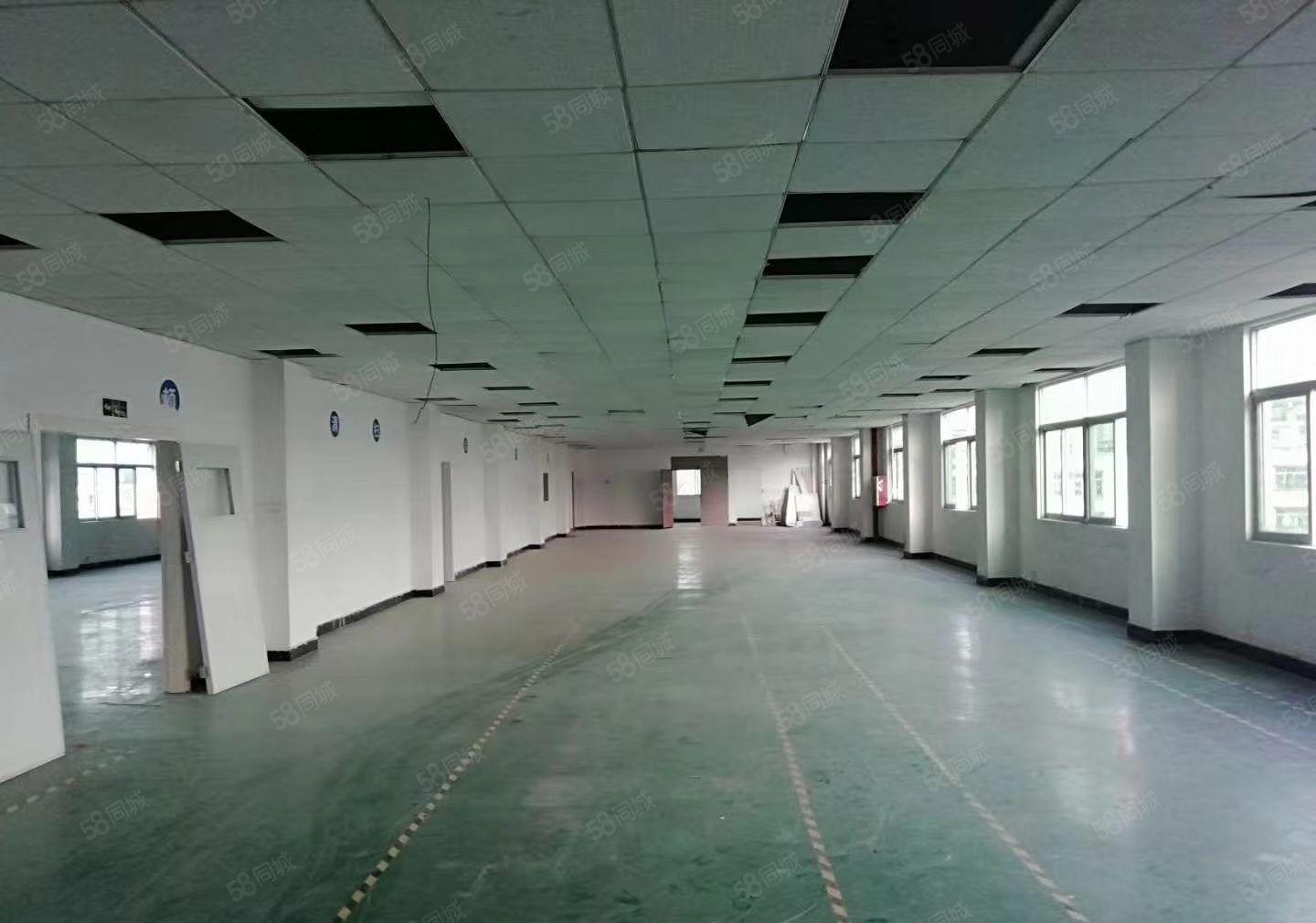 沥林独院标准厂房出租15900平米现成装修有红本