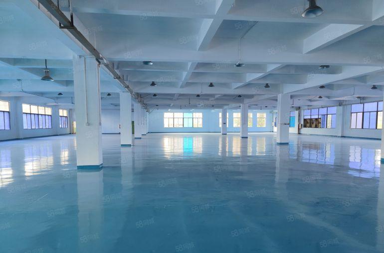 低价仲恺高速出口附近独院10000平方厂房出租一楼带行车