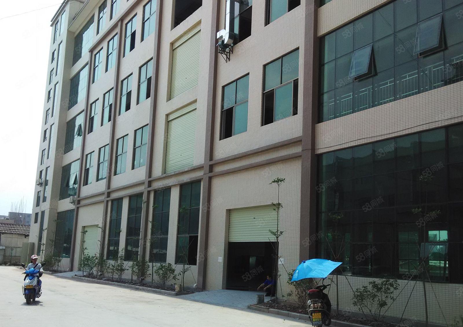 惠环LG附近一楼1850平方层高6米可分租900平