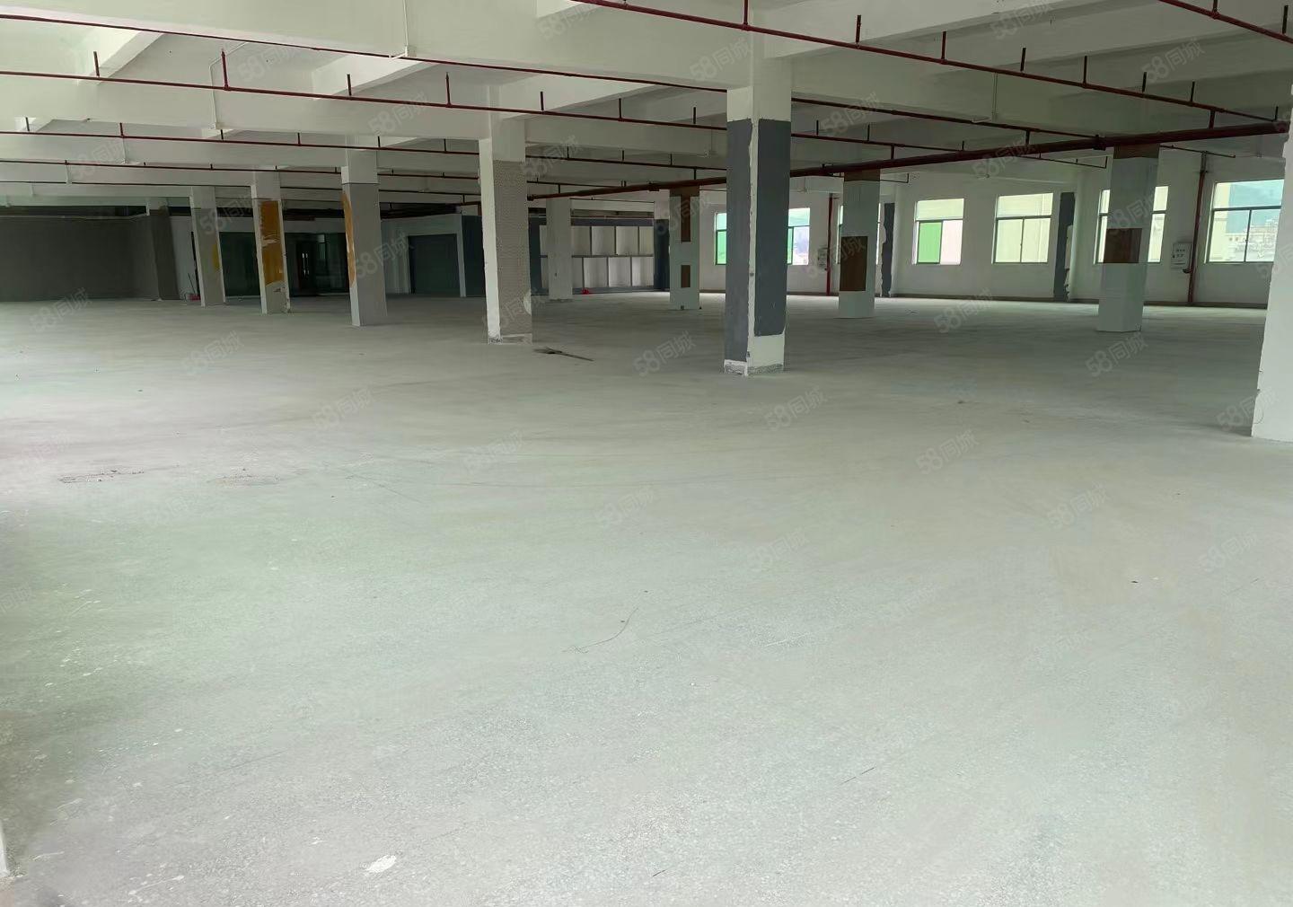 沥林独门独院标准厂房1800平方出租