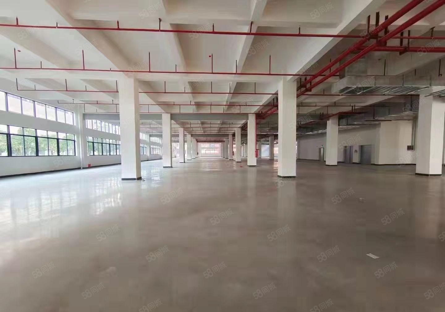 （三个月免租期）原房东园区厂房3800平带卸货平台，可分租