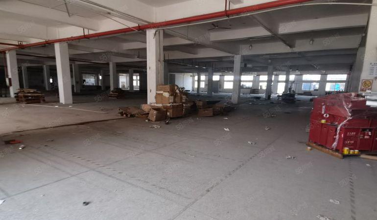 仲恺创维原房东一二楼4200平带卸货平台厂房仓库出租可分租！