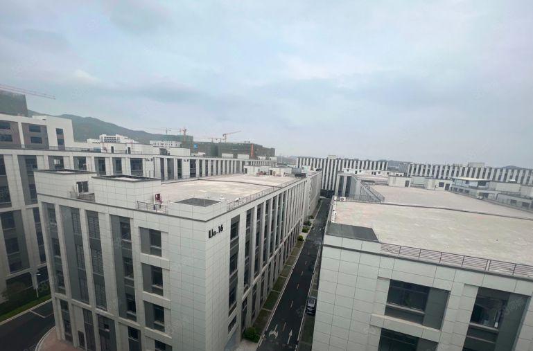 仲恺独栋厂房3929.48平无公摊含税14元整租