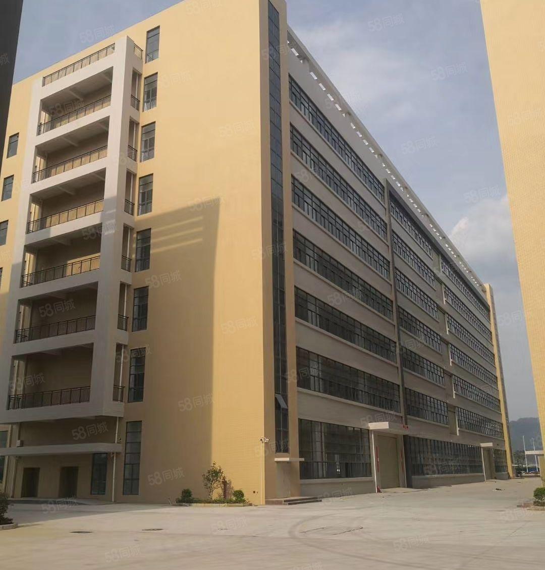 惠环西坑标准厂房出租 2000平 750平方 带货梯