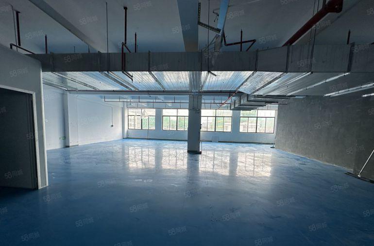 陈江厂房8元厂房300平起租水电齐全仲恺厂房小面积厂房