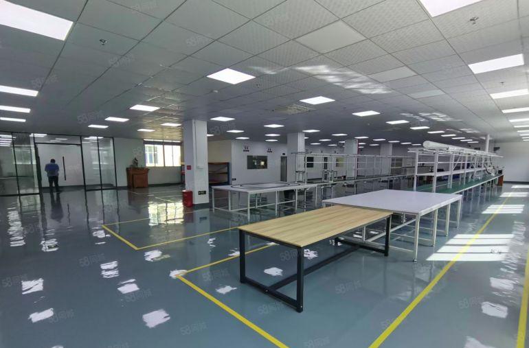 陈江五一工业区精装厂房1200平方可拎包入驻