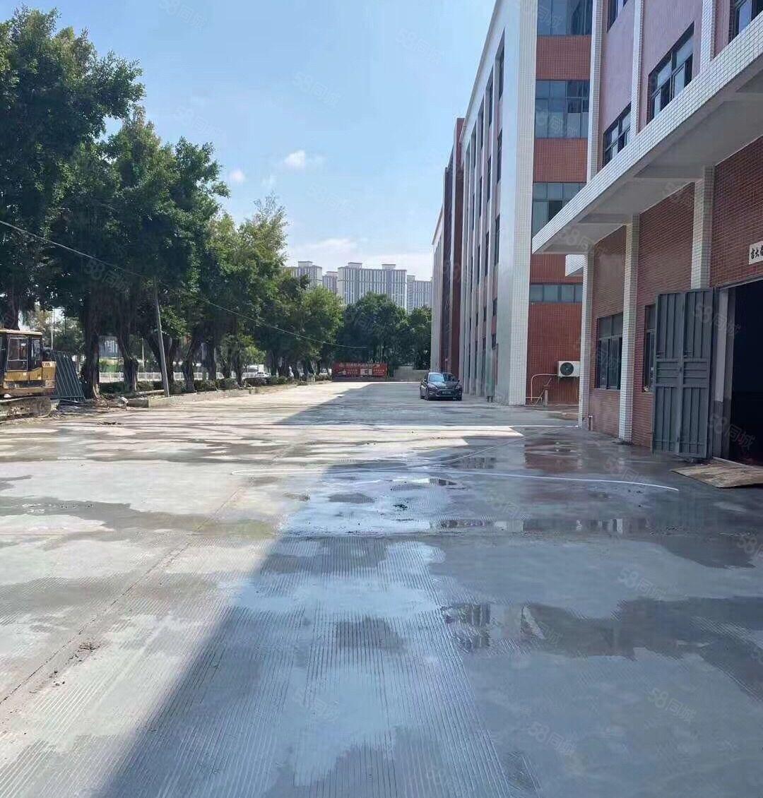 仲恺平南工业区新空出一楼标准厂房1200平方7米高带牛角