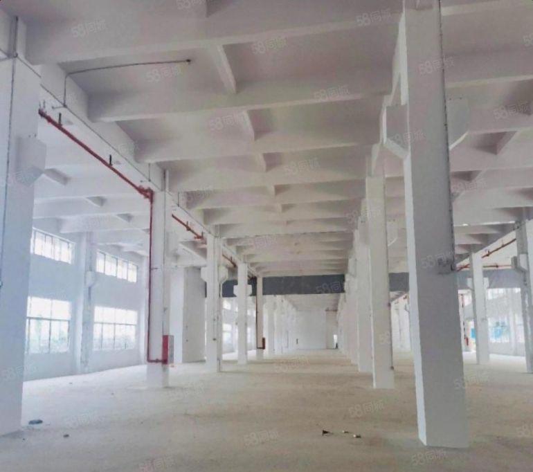 6元全新厂房出租，大小可分，原房东无公摊，不限行业