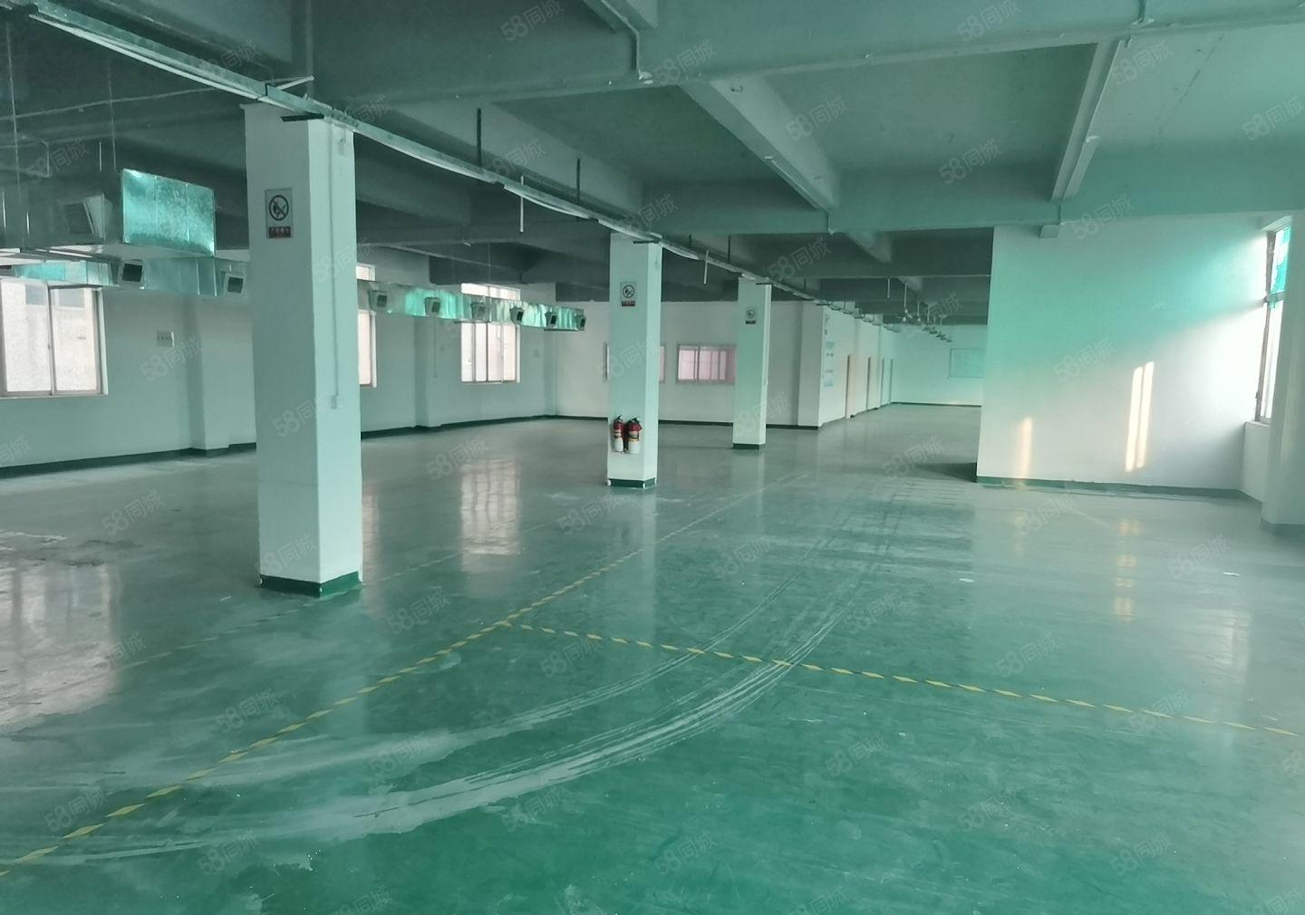 惠州仲恺沥淋镇新出原房东4900平带装修独院厂房出租可分租