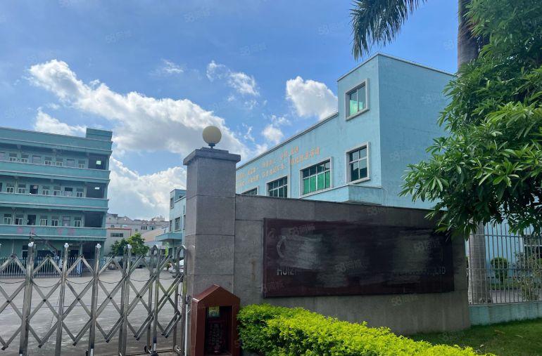 带红本独门独院厂房标准加单一层 一手房东