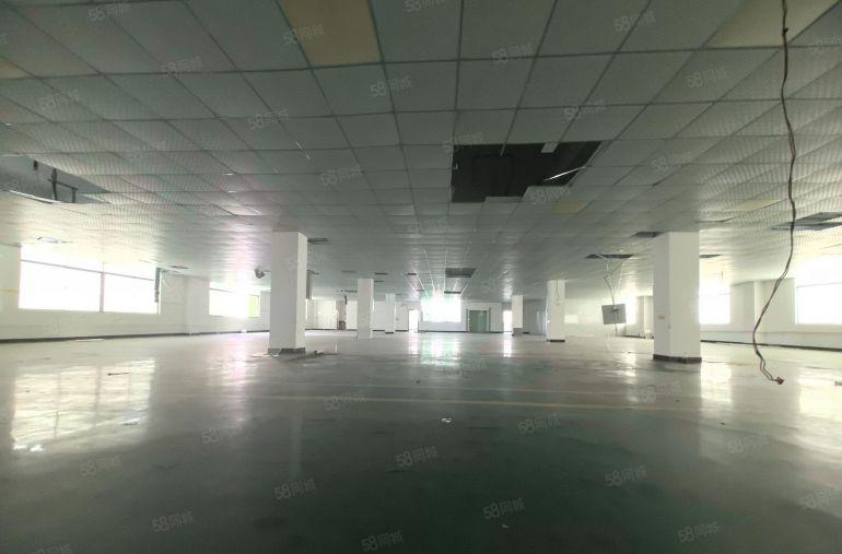 惠州仲恺独门独院精装修办公室吊顶动力主线，3900平厂房出租