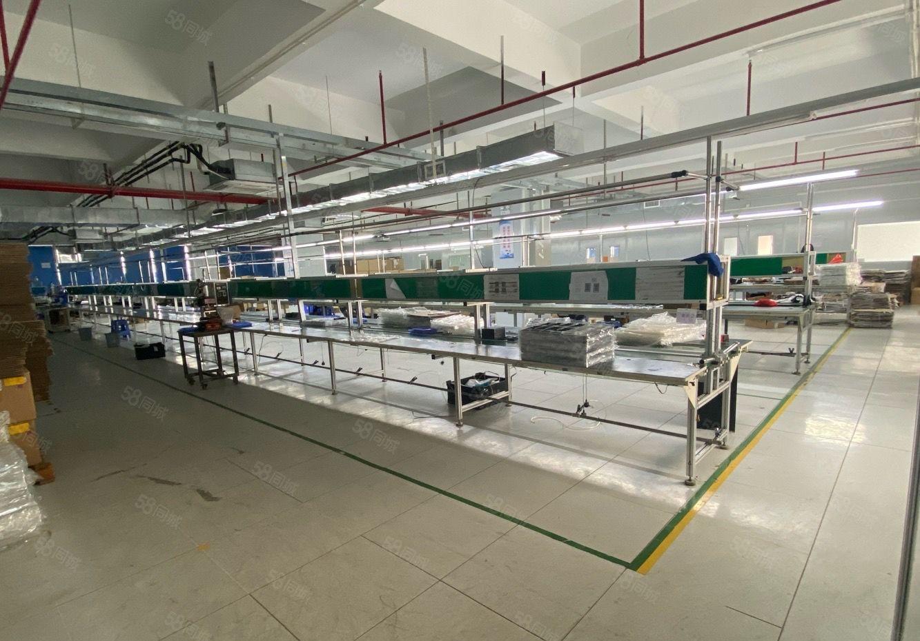 仲恺高新区工业园分租1000平出租