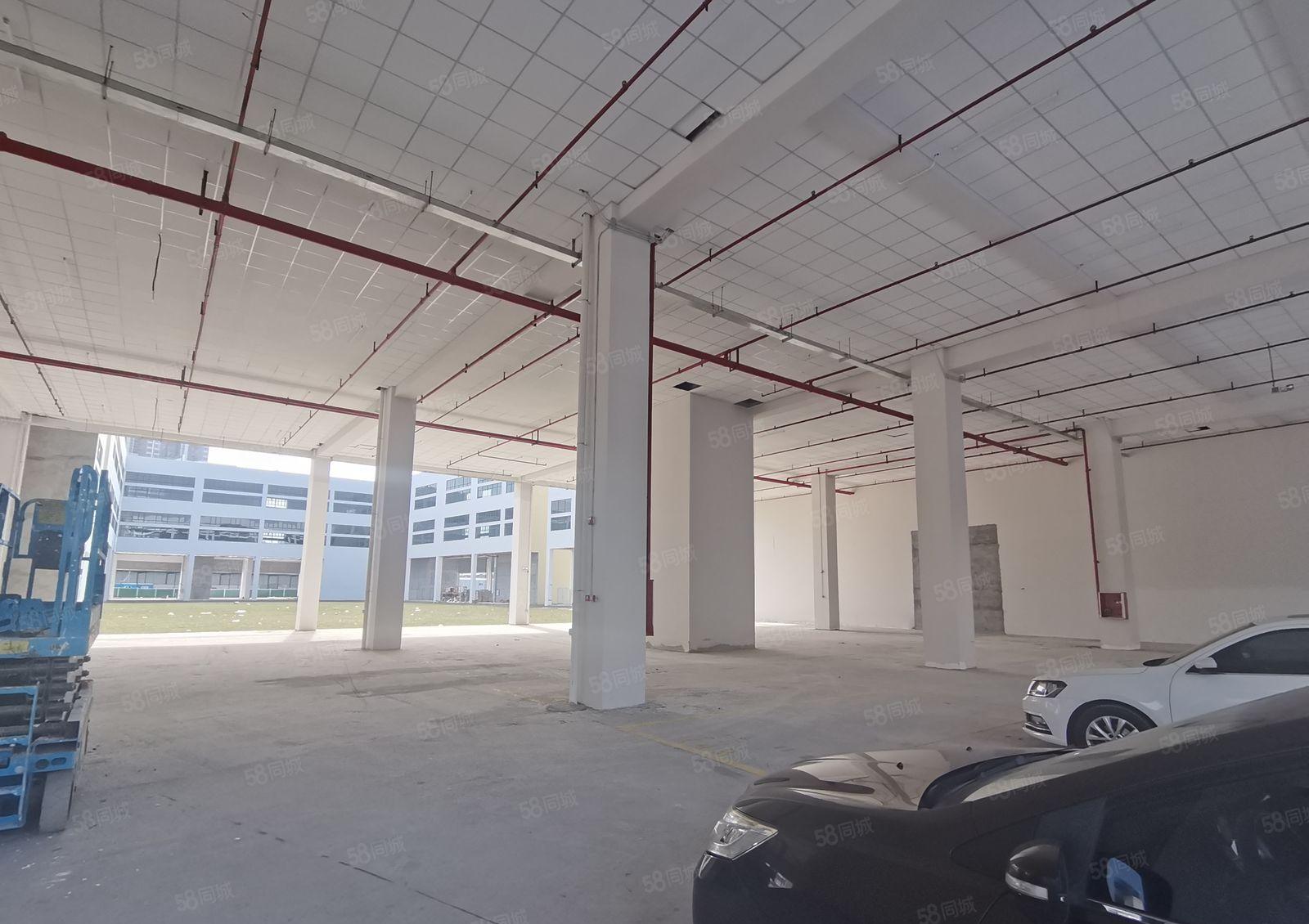 10元起租 惠州仲凯陈江鸿泰源工业园800平方厂房仓库出租