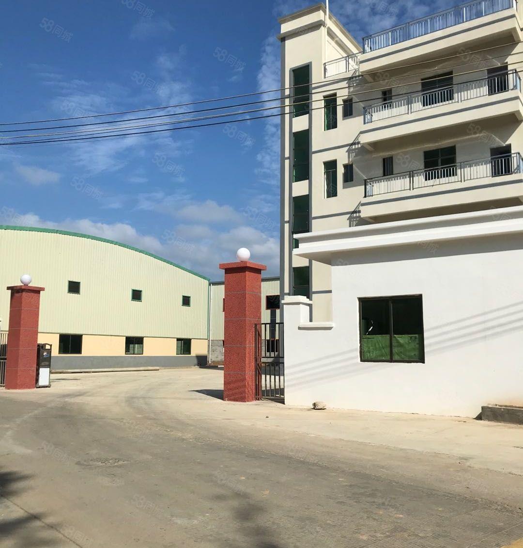 仲恺陈江原房东独门独院单一层厂房出租 可分租