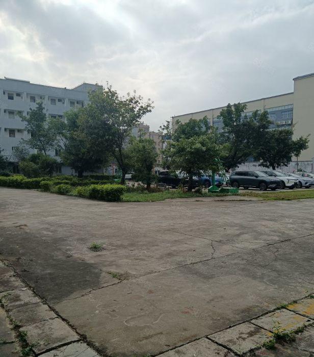 仲恺陈江500平无尘车间原房东实际面积出租大工业园区配套齐全