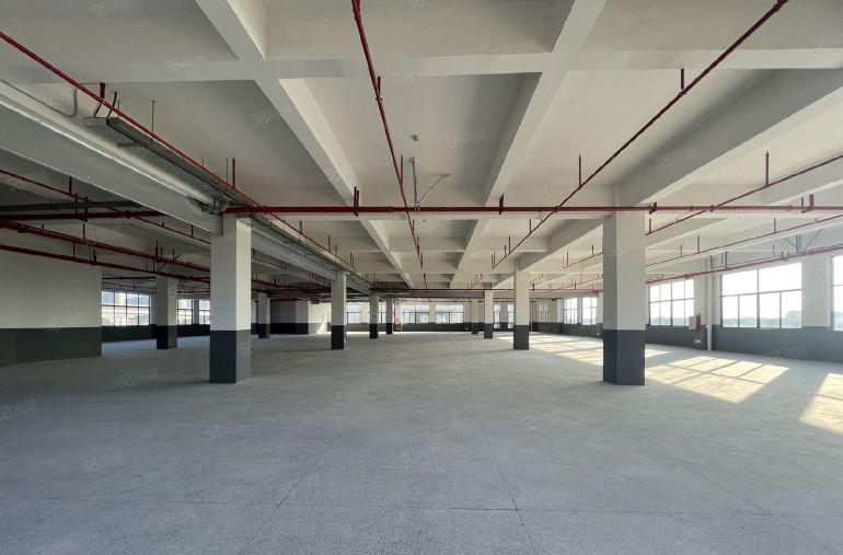 仲恺陈江特价12.8元2200平独门独院实际面积全新红本