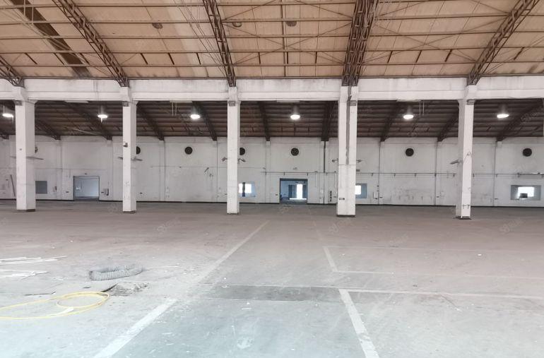 沥林镇带卸货平台厂房出租，滴水12米单一层厂房，可做物流运输