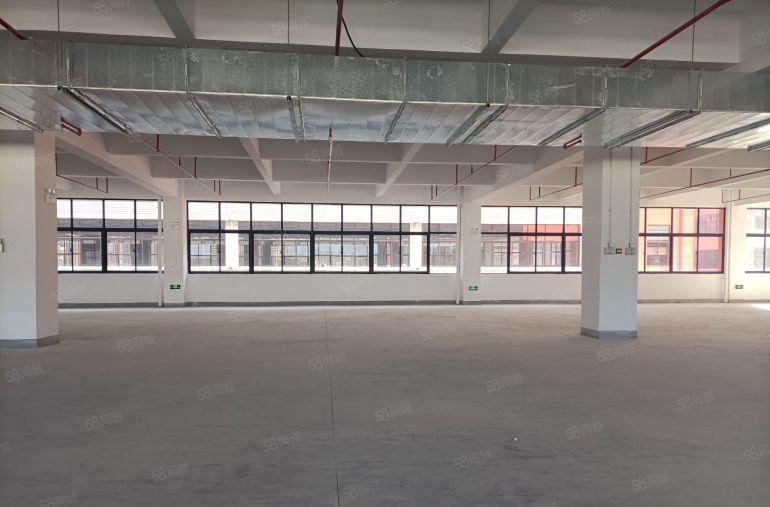 原房东32500平全新厂房靠国道边大小可以租