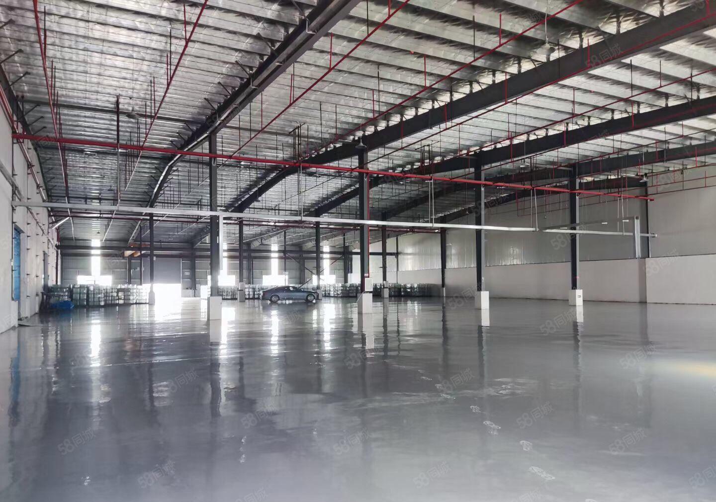 原房东！仲恺陈江镇五一工业区独院钢构厂房3000平方无公摊